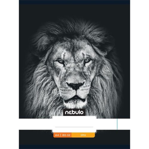 Nebulo Füzet A/4 sima 80-32 Xtreme